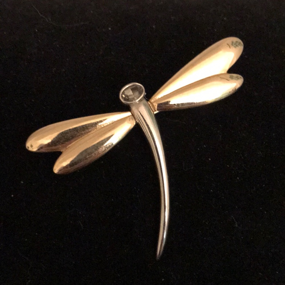 Dragonfly Pin